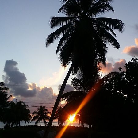 Villa Luana Yuna - Self Catering Pointe Au Sel エクステリア 写真